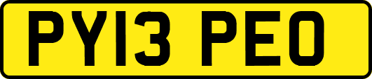 PY13PEO