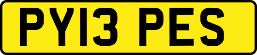 PY13PES