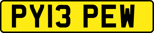 PY13PEW