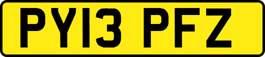 PY13PFZ
