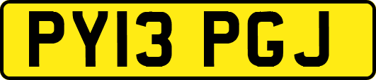 PY13PGJ