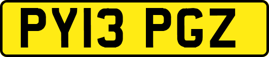 PY13PGZ