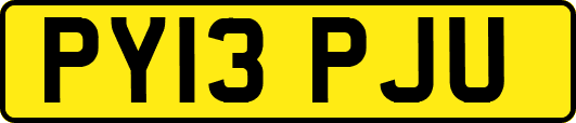 PY13PJU