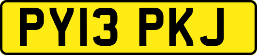 PY13PKJ