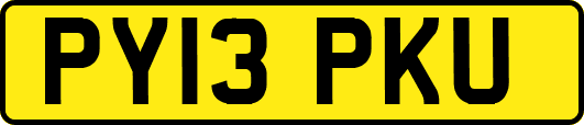 PY13PKU