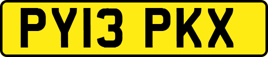 PY13PKX
