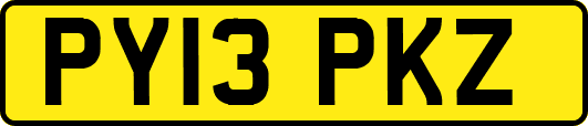 PY13PKZ