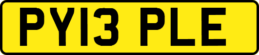 PY13PLE