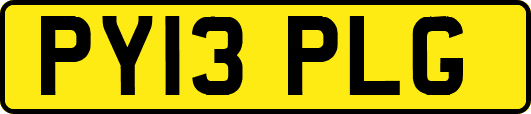 PY13PLG