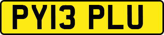 PY13PLU