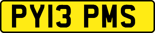 PY13PMS