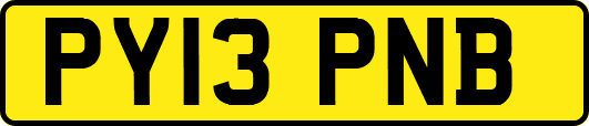 PY13PNB