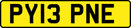 PY13PNE