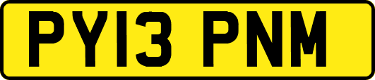 PY13PNM