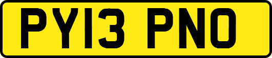 PY13PNO