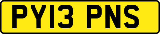 PY13PNS
