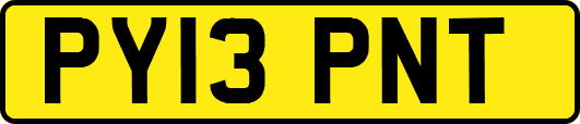 PY13PNT