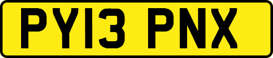 PY13PNX