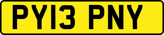 PY13PNY