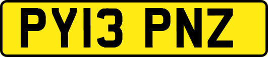 PY13PNZ