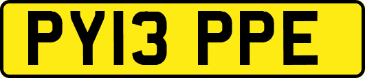 PY13PPE