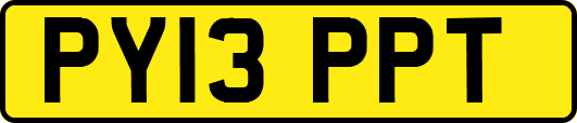 PY13PPT