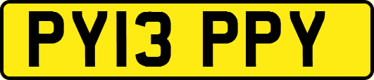 PY13PPY