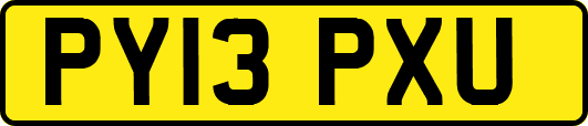 PY13PXU