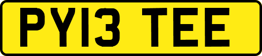 PY13TEE