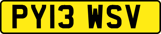 PY13WSV