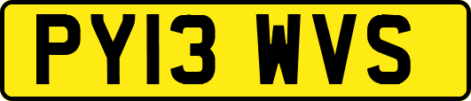 PY13WVS