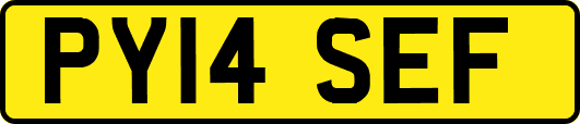 PY14SEF