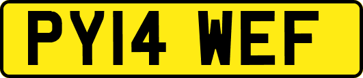 PY14WEF