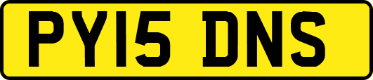 PY15DNS