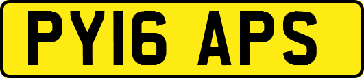 PY16APS
