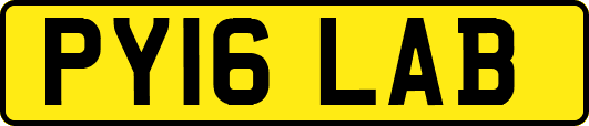 PY16LAB