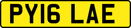 PY16LAE