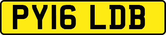 PY16LDB
