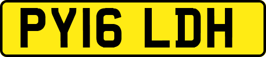 PY16LDH