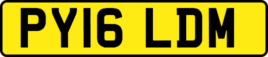 PY16LDM