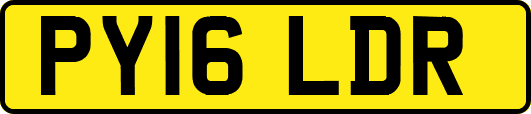 PY16LDR