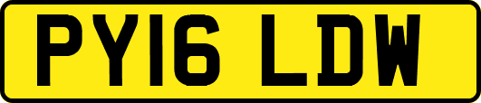 PY16LDW
