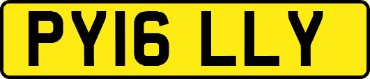 PY16LLY