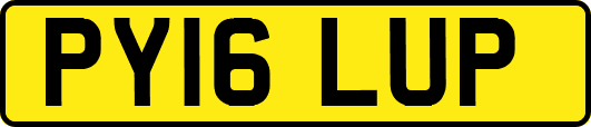 PY16LUP