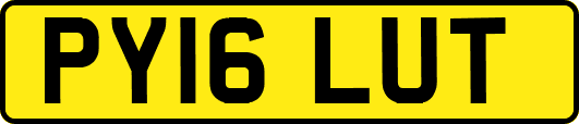 PY16LUT