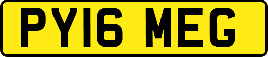 PY16MEG