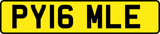 PY16MLE