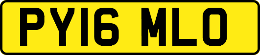 PY16MLO