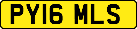 PY16MLS