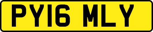 PY16MLY